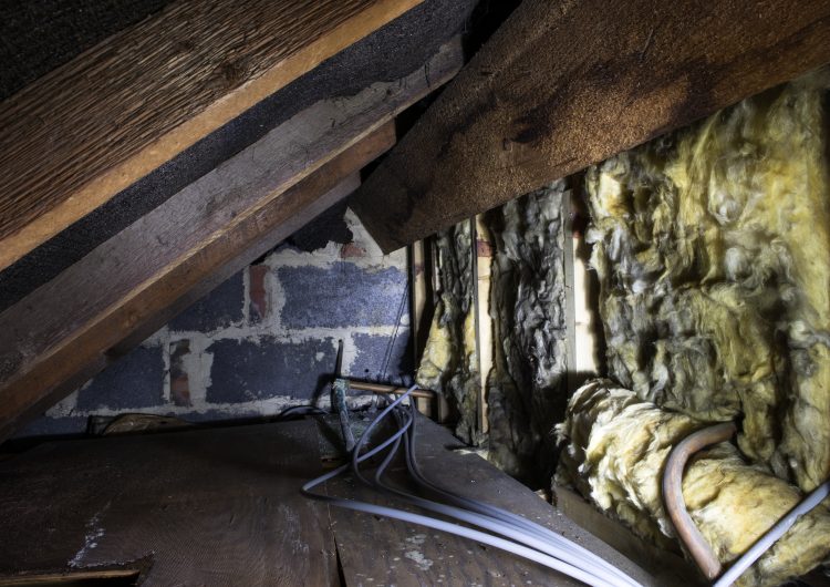 crawl space sickness