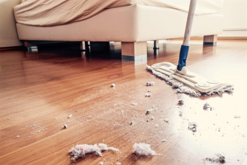 Dust In A Baggie Living Room Tab